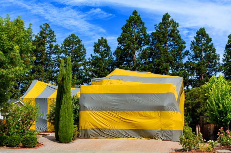 Signs Your Property Needs Professional Fumigation Services