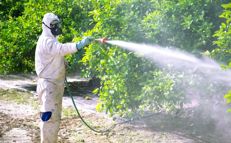 The Most Common Pests That Require Fumigation
