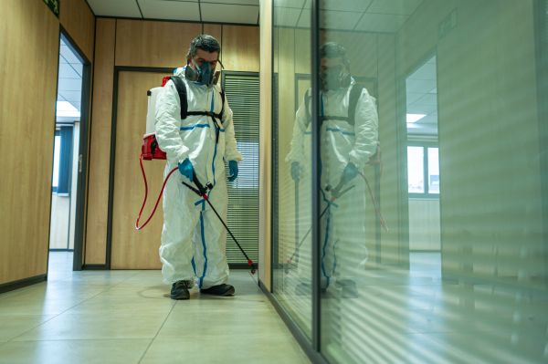 Fumigation Service in Albuquerque