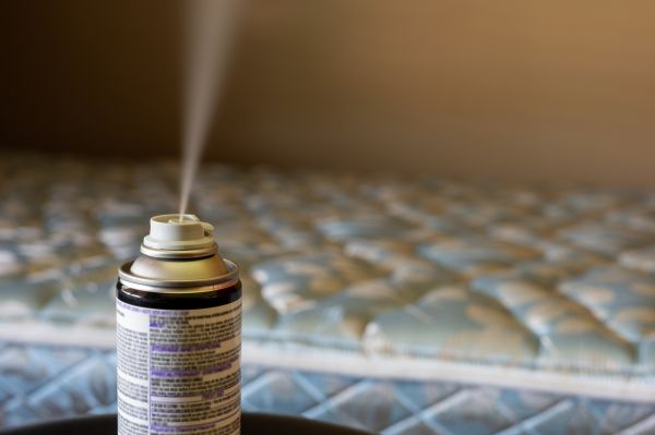 Mattress Fumigation in Albuquerque