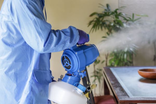 Tent Fumigation in Albuquerque