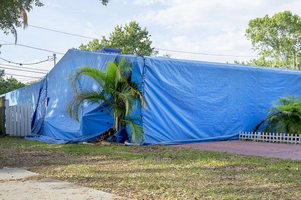 Home Fumigation in Albuquerque